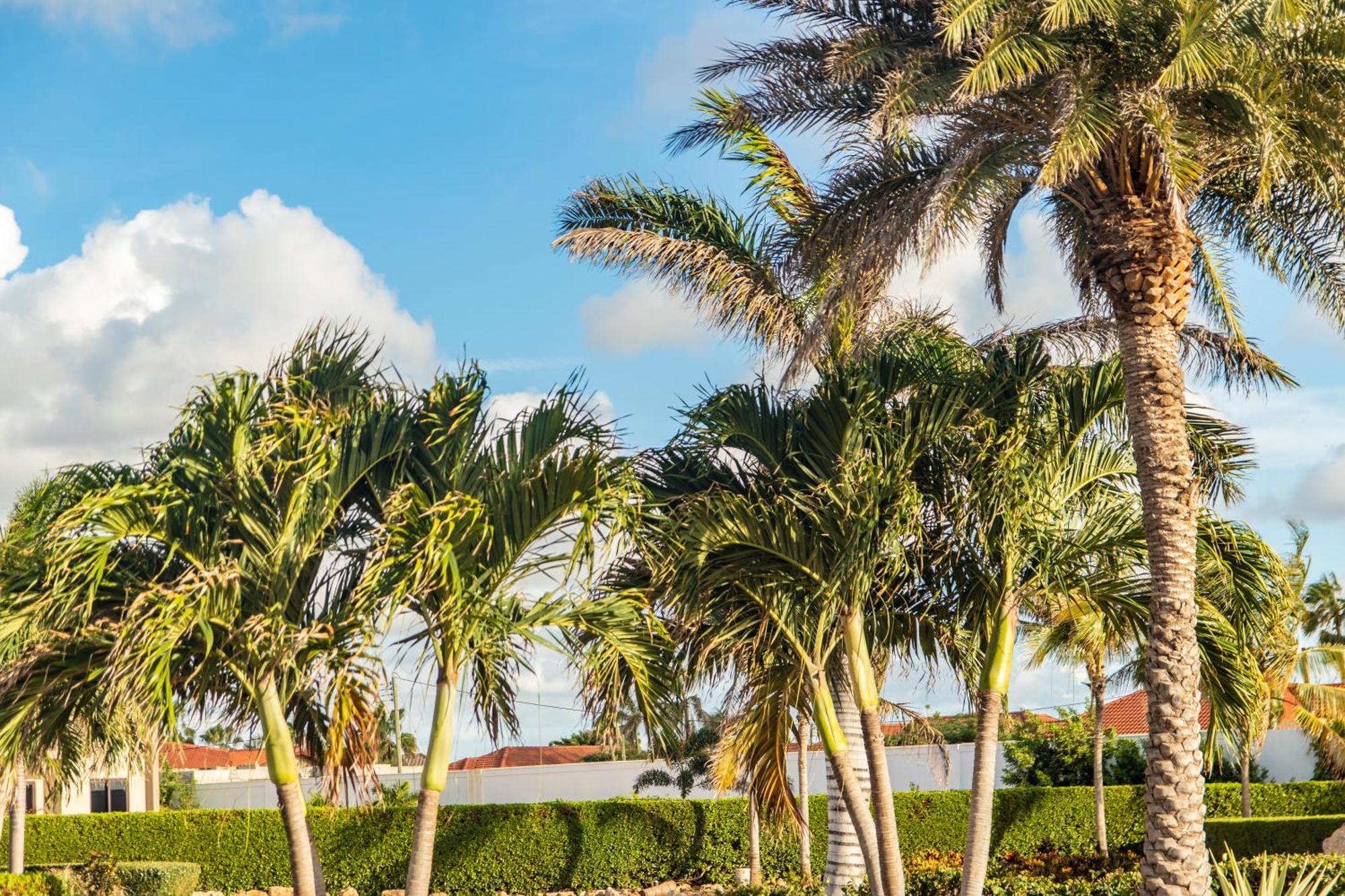 Bocobay Gold Coast Resort パームビーチ エクステリア 写真